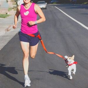 Pets leash multiple colors